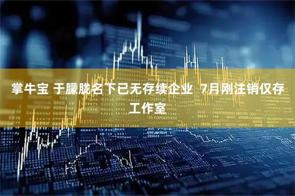 掌牛宝 于朦胧名下已无存续企业  7月刚注销仅存工作室