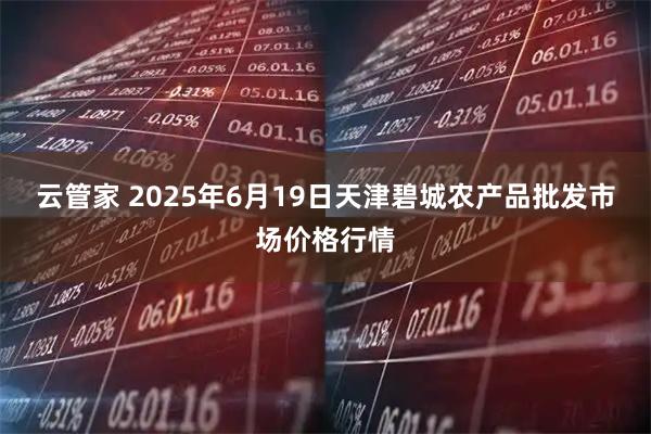 云管家 2025年6月19日天津碧城农产品批发市场价格行情