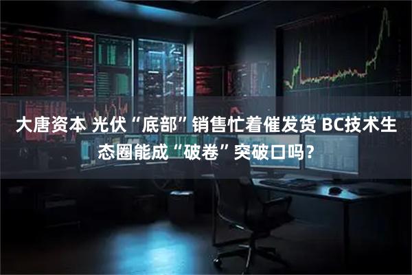 大唐资本 光伏“底部”销售忙着催发货 BC技术生态圈能成“破卷”突破口吗？