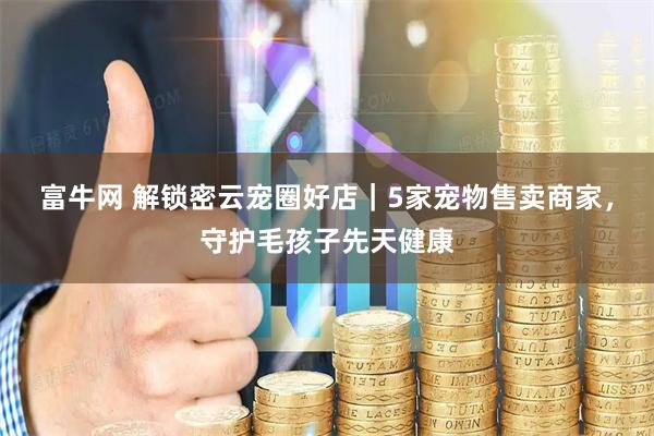 富牛网 解锁密云宠圈好店｜5家宠物售卖商家，守护毛孩子先天健康