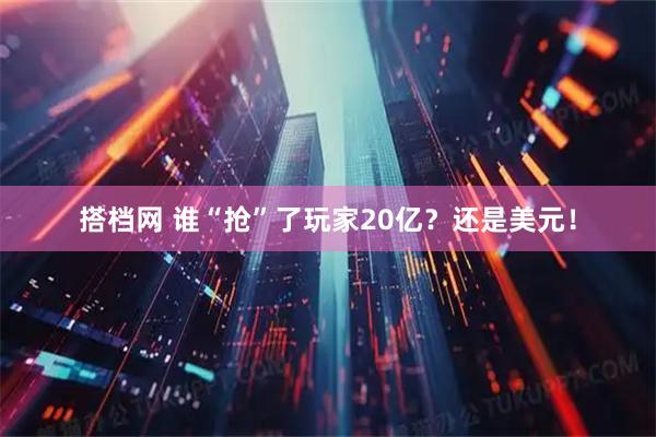 搭档网 谁“抢”了玩家20亿？还是美元！