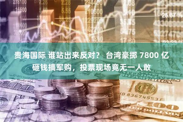 贵海国际 谁站出来反对？ 台湾豪掷 7800 亿砸钱搞军购，投票现场竟无一人敢